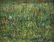 Vincent Van Gogh Patch of Grass oil painting on canvas
